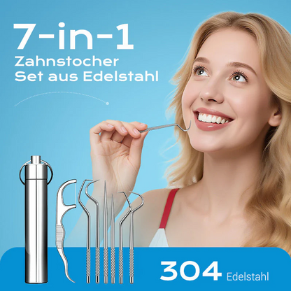 【🔥Kup 1 otrzymaj 1 za darmo】🦷Zestaw wykałaczek ze stali nierdzewnej