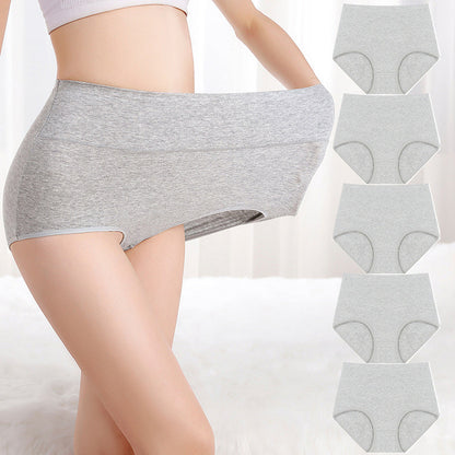 🩲 Damen-Slips mit hoher Taille (💥 5er-Pack) | Dehnbares Material, atmungsaktiv & bequem ✨